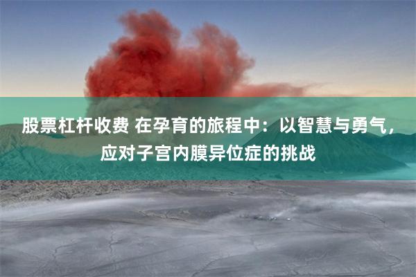 股票杠杆收费 在孕育的旅程中：以智慧与勇气，应对子宫内膜异位症的挑战