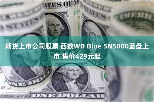 期货上市公司股票 西数WD Blue SN5000蓝盘上市 售价429元起