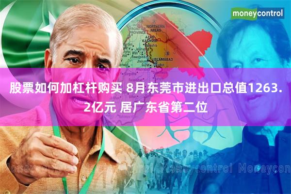 股票如何加杠杆购买 8月东莞市进出口总值1263.2亿元 居广东省第二位