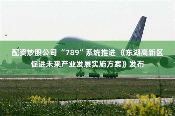 配资炒股公司 “789”系统推进 《东湖高新区促进未来产业发展实施方案》发布