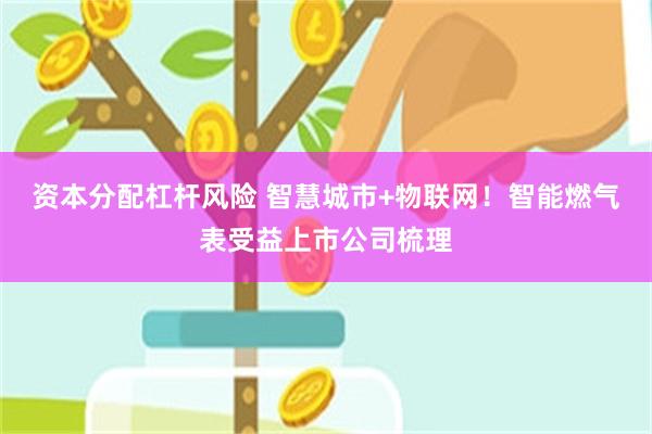 资本分配杠杆风险 智慧城市+物联网！智能燃气表受益上市公司梳理