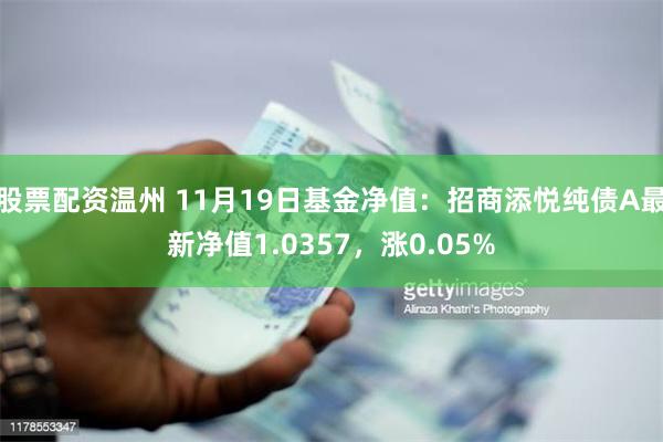 股票配资温州 11月19日基金净值：招商添悦纯债A最新净值1.0357，涨0.05%