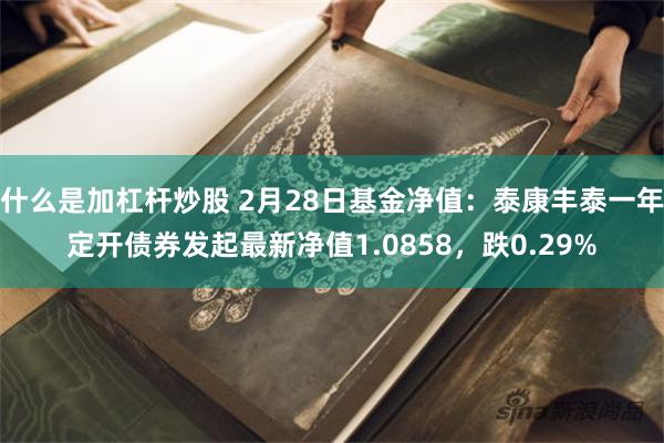 什么是加杠杆炒股 2月28日基金净值：泰康丰泰一年定开债券发起最新净值1.0858，跌0.29%